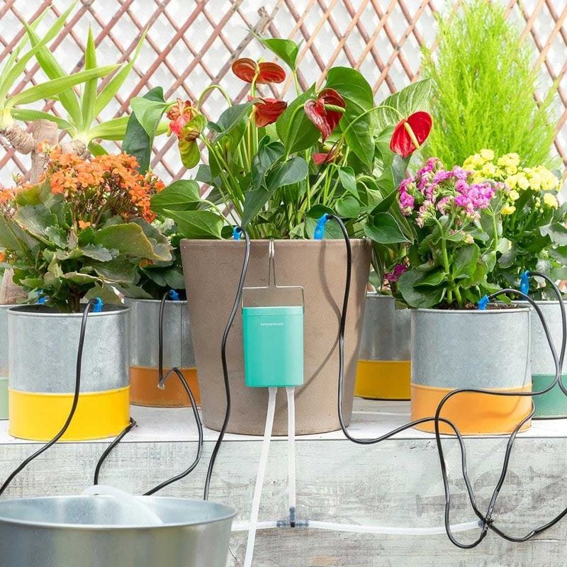 Automatisk vandingssystem til potteplanter Regott InnovaGoods