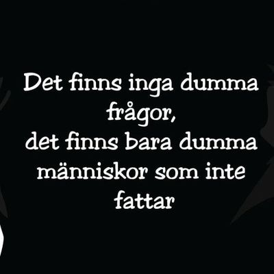 Det finns inga dumma frågor