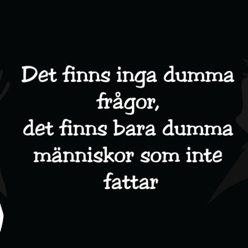 dumma-fragor-tshirt.jpg