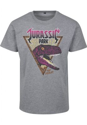 Jurassic Park Pink Rock Tee