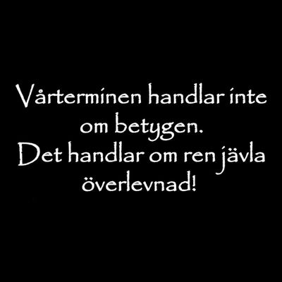 Vårterminen T-shirt