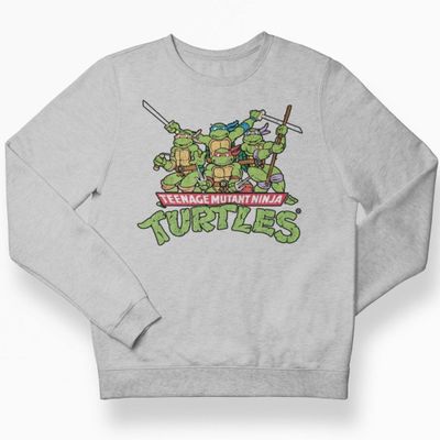 Teeange Mutant Ninja Turtles Distressed Group kids sweatshirt
