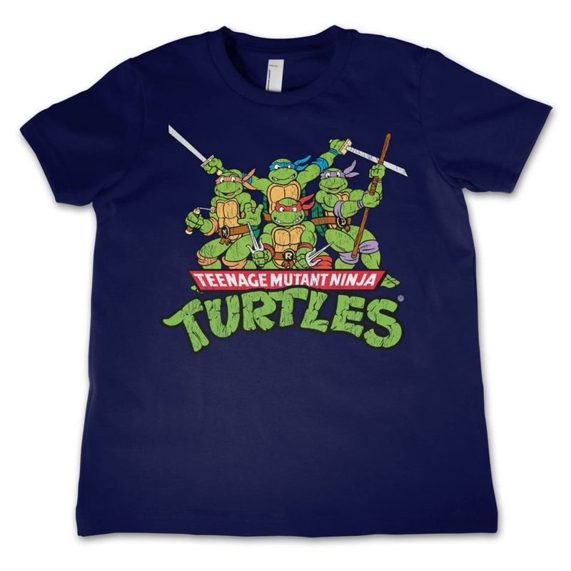 nic-12-tmnt005_nv.jpg