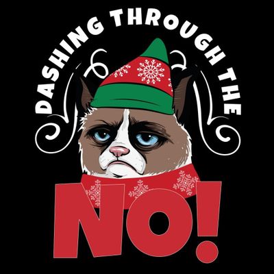 Dashing through the NO! Grumpy Cat T-shirt