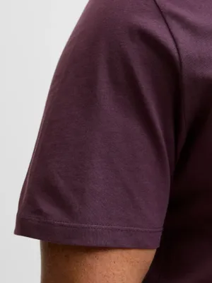 Plommonfärgad T-shirt med tryck herr plus size – Jack & Jones