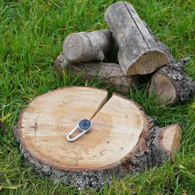 Carabiner with compass and thermometer
