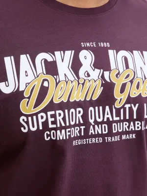 Plommonfärgad T-shirt med tryck herr plus size – Jack & Jones