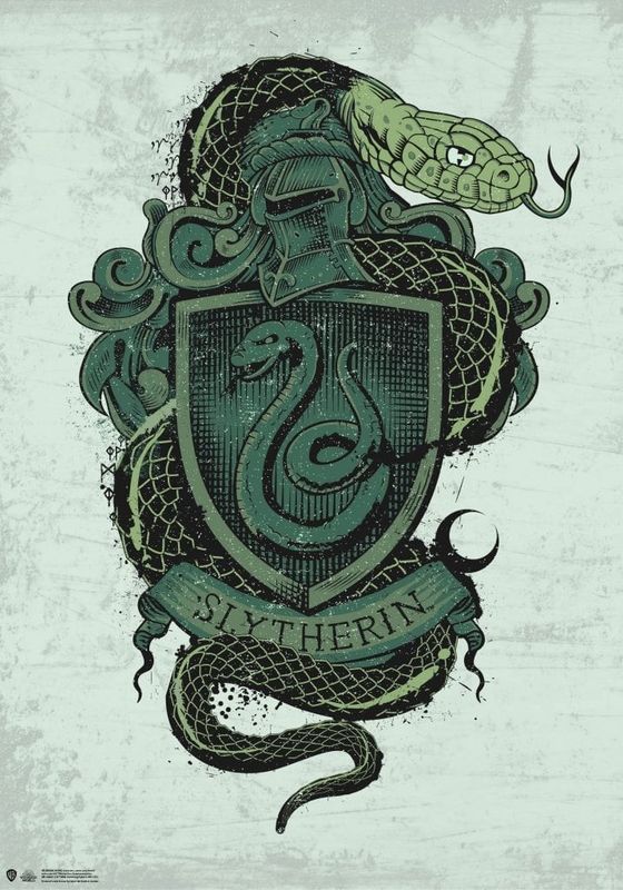 Harry Potter - Slytherin Poster 1