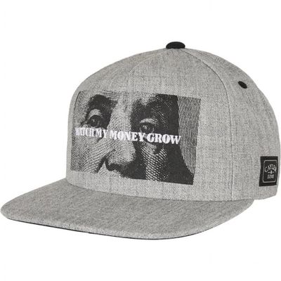 Watch My Money Grow cap
