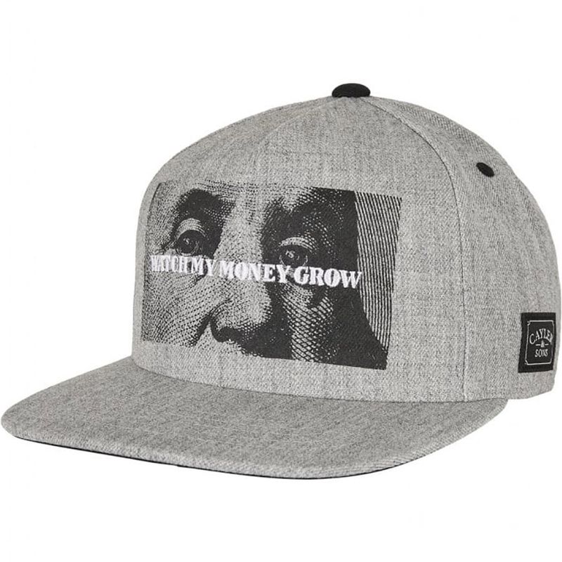 Watch My Money Grow cap
