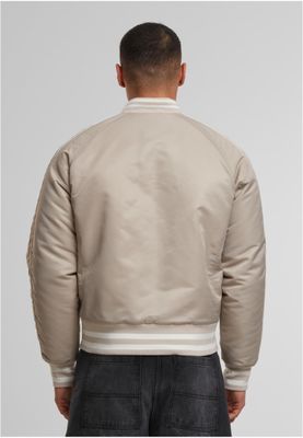 randig mudd Bomberjacka för herr – chalkdust