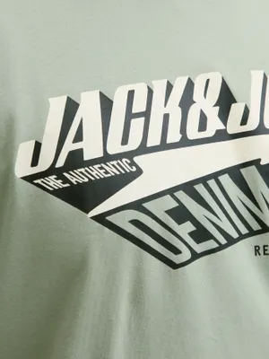 Ljusgrön T-shirt med tryck herr plus size – Jack & Jones