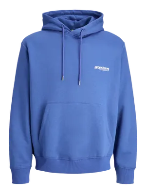 Project core hoodie herr