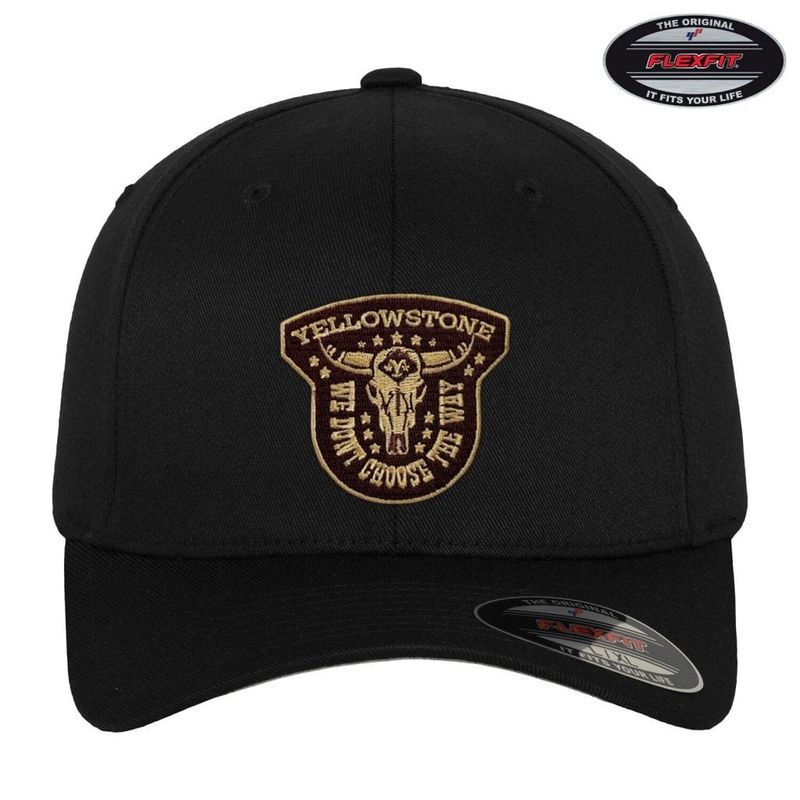 wedontchoosethewayflexfitcap-2.jpg