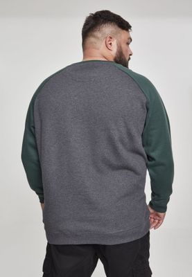 Tvåfärgad raglan sweatshirt