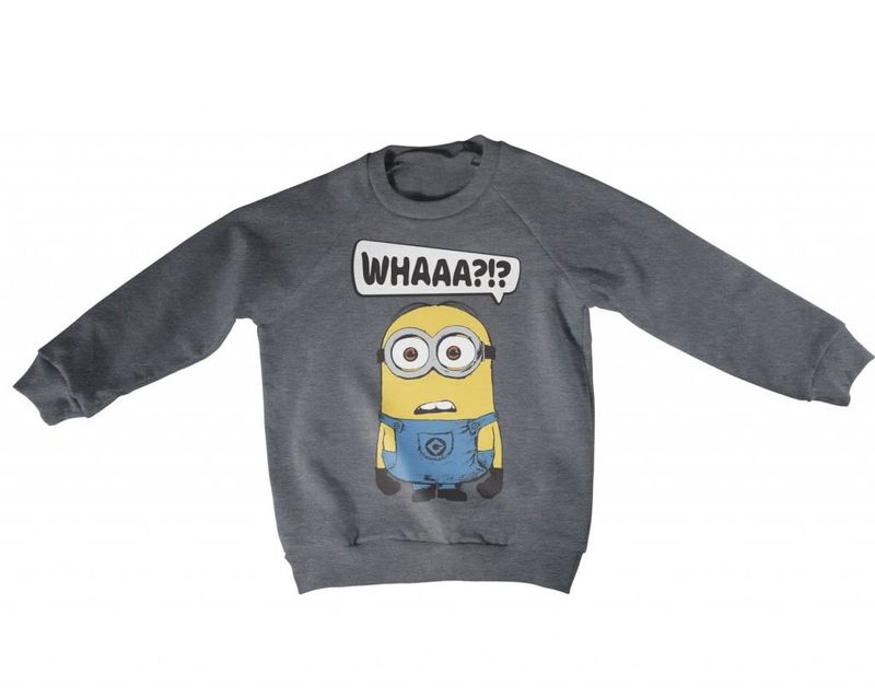 Minions - Whaaa?!? kids sweatshirt