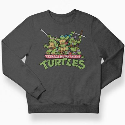 Teeange Mutant Ninja Turtles Distressed Group kids sweatshirt