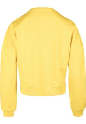 Sweatshirt med stripedam