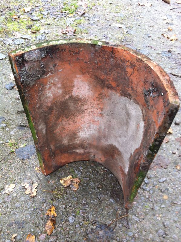 Sadelnock med knopp (Börringe)