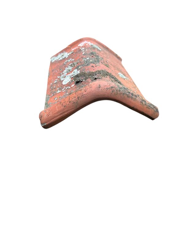 Vittinge/Heby nock lång flack 