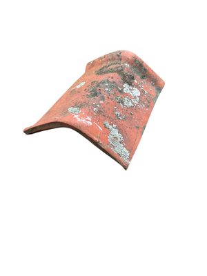 Vittinge/Heby nock lång flack 