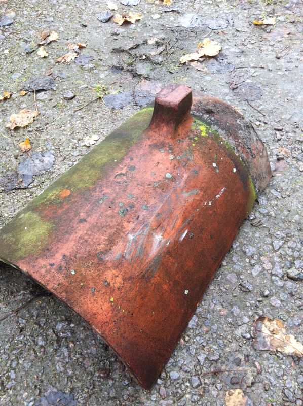 Sadelnock med knopp (Börringe)