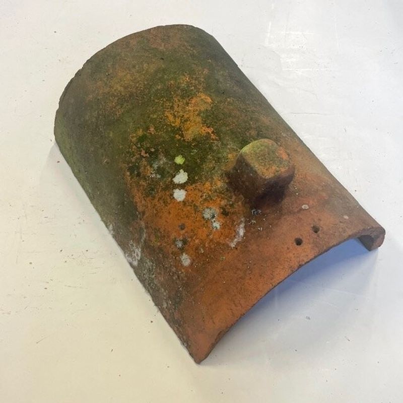 Sadelnock med knopp (Börringe)