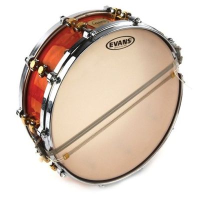Evans S14GEN30 Genera 300 virvelunderskinn 14"