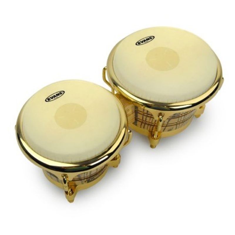 Evans EB0709 bongoskinn, set