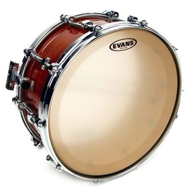 Evans CS14SS Strata konsertskinn 14"