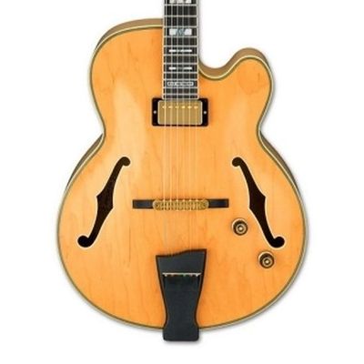 Ibanez PM200-NT