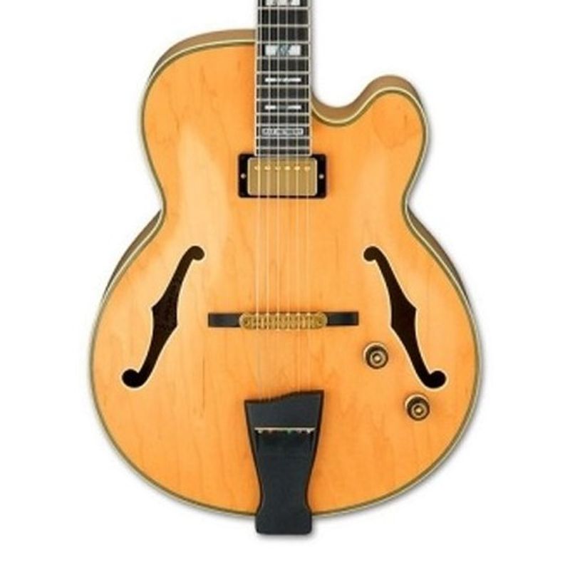 Ibanez PM200-NT