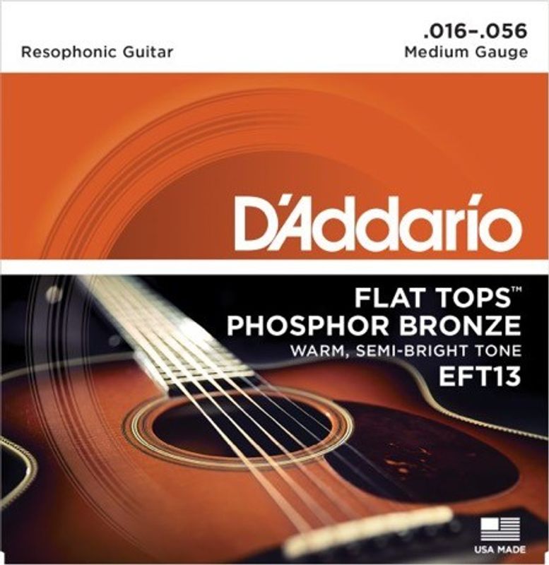 D'Addario EFT13