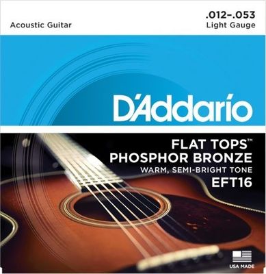 D'Addario EFT16