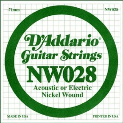 D'Addario NW028