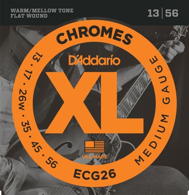 D'Addario ECG26