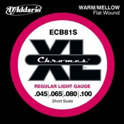 D'Addario ECB81S