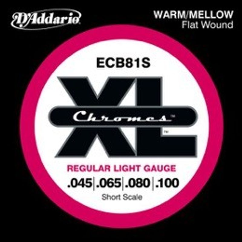 D'Addario ECB81S