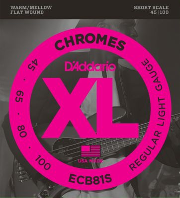 D'Addario ECB81S