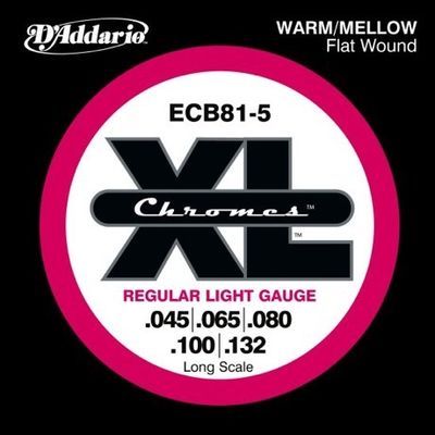 D'Addario ECB81-5 Chromes Bas