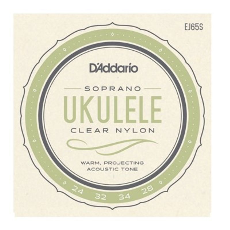 D'Addario EJ65S