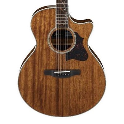 Ibanez AE245-NT
