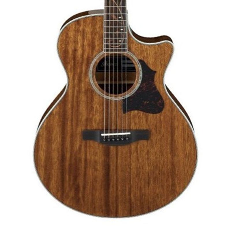 Ibanez AE245-NT
