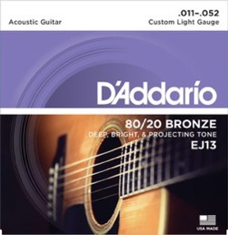 D'Addario EJ13