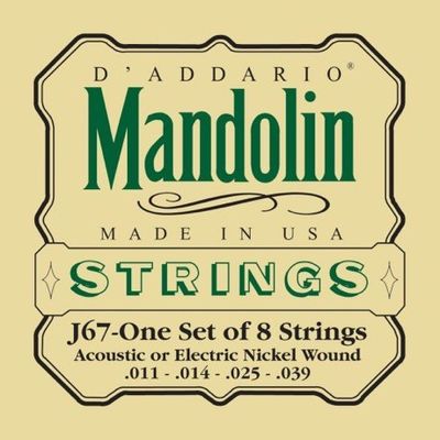 D'Addario J67