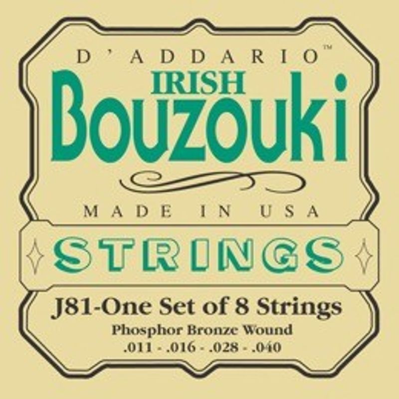 D'Addario J81