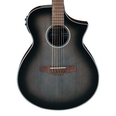 Ibanez AEWC11-TCB