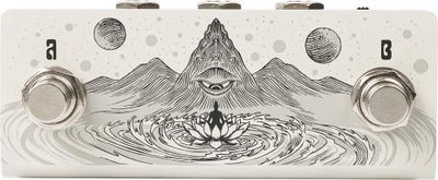 Animus Dual Footswitch Horizontal