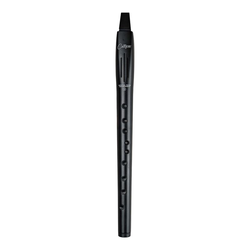 Blackstar Carry-On Digital Wind Instrument 2 Black