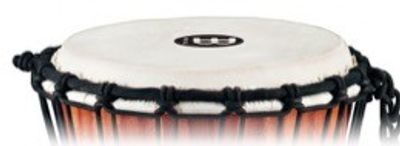 Meinl HEAD-56 Djembeskinn 14" HDJ/ADJ/PROADJ